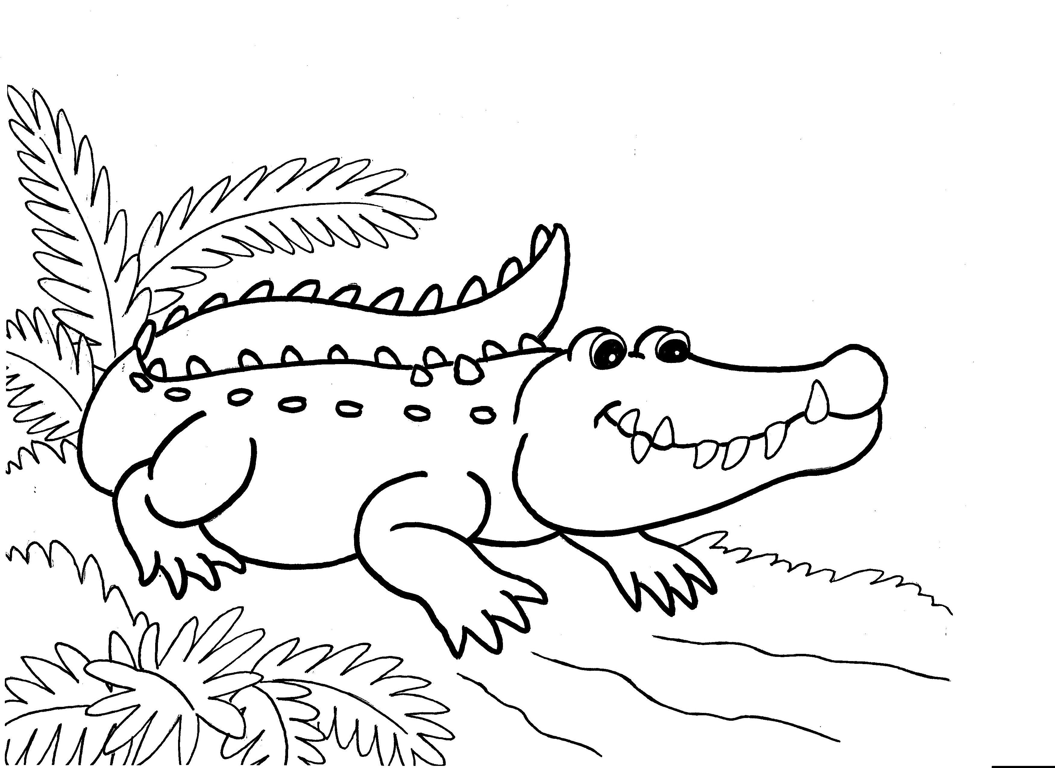 Online coloring book: Coloring book alligator in the forest